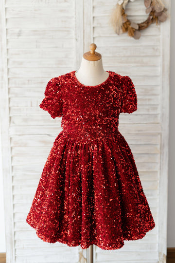 Girls Short Sleeves Burgundy Sequin Party Dress